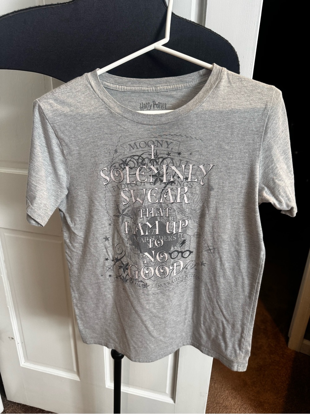 Harry Potter - 'I Solemnly Swear'